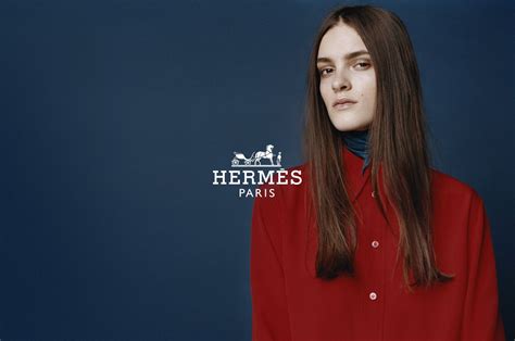 mode hermes|Hermes website.